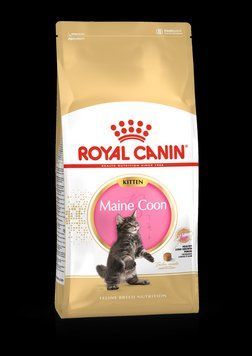 Royal Canin MAINE COON KITTEN для кошенят породи Мейн-кун 4кг 30137 фото