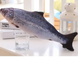 М'яка іграшка для тварин Риба річкова форель 40 см Petjoy id_74888 фото 3