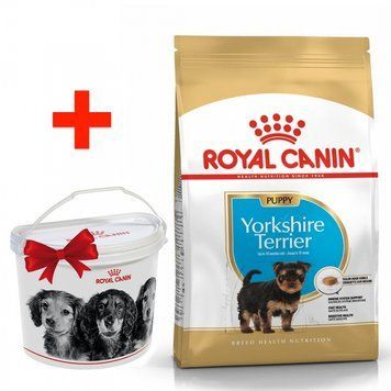 Акция Royal Canin Yorkshire Puppy 1,5кг+ контейнер -корм для щенков Йоркширских терьеров 10-20кг 21874 фото