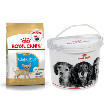 Акция Royal Canin Chihuahua Puppy 1.5кг+контейнер - корм для щенков породы Чихуахуа 30-40кг 59304 фото