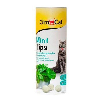 Кэт Минт с кошачьей мятой для котов 425гр 419152 3кг 68147 фото