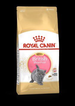 Royal Canin BRITISH SHORTHAIR KITTEN сухой корм для котят породы Британской короткошерстной сиреневый 20190 фото